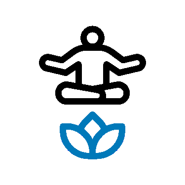 Shapoorji Pallonji Dualis