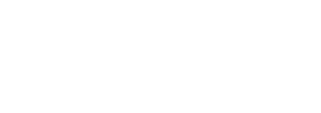 Shapoorji Pallonji Dualis